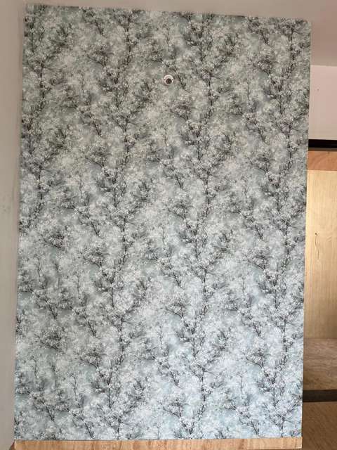 2 BHK Flat In Vtp Township Codename Blue Waters for Rent  In Mahalunge