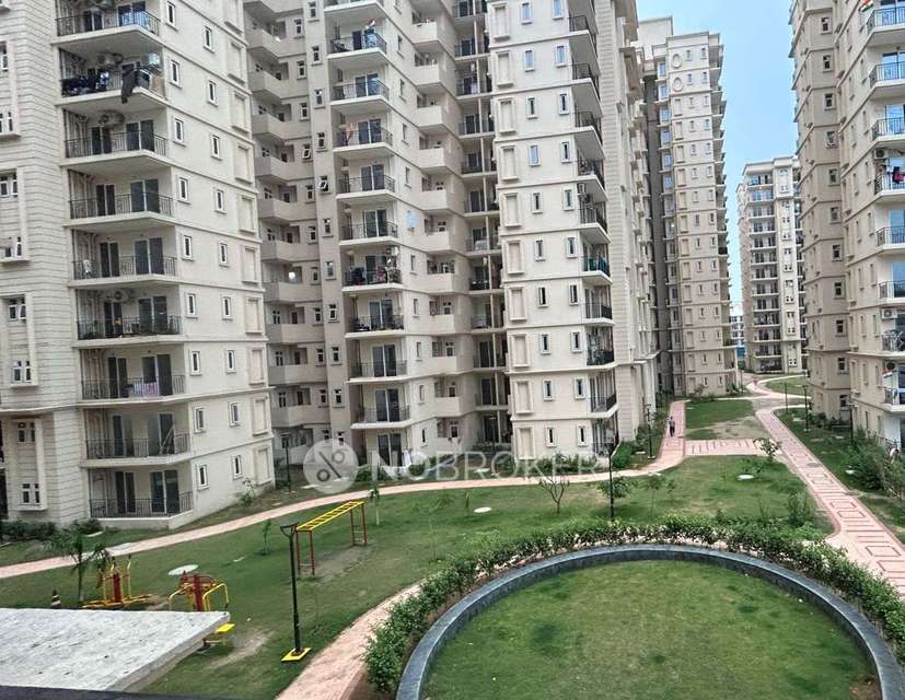 3 BHK Flat In Signature Global Sector 36 Sohna For Sale  In Dlf Phase 2