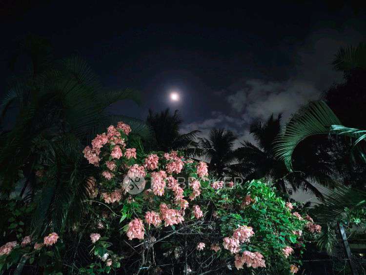 2 BHK Flat In Jrk Gardens For Sale  In Kr Puram, Bangalore