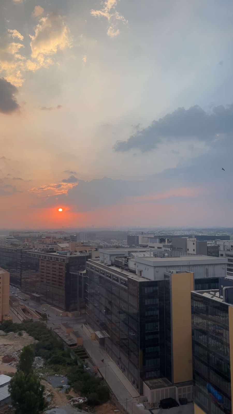 Prestige Sunnyside Oak