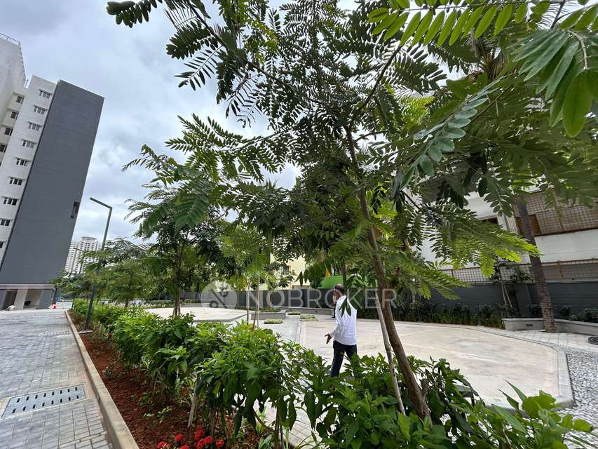 2 BHK Flat In Sattv For Sale  In Sattva Bliss