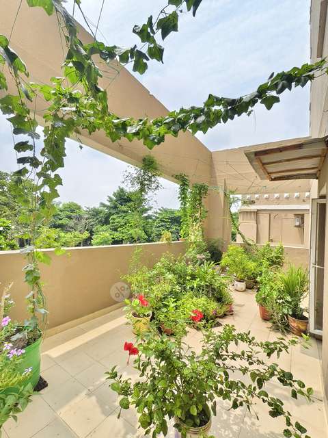 3 BHK Flat In Ats Kocoon With For Sale  In Sector 109