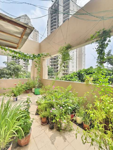 3 BHK Flat In Ats Kocoon With For Sale  In Sector 109