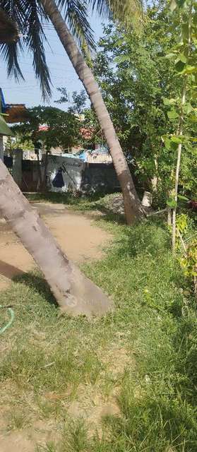 3 BHK House For Sale  In Avadi