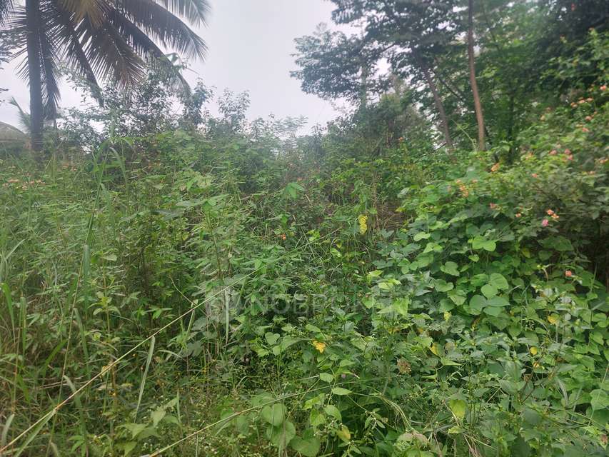 Plot For Sale  In Anekal