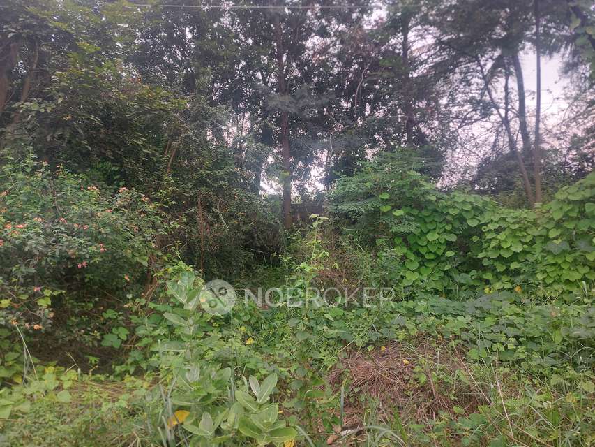Plot For Sale  In Anekal