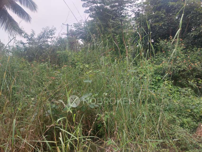 Plot For Sale  In Anekal
