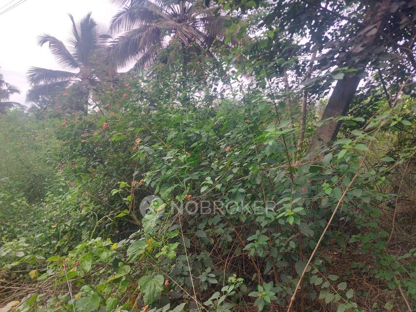 Plot For Sale  In Anekal