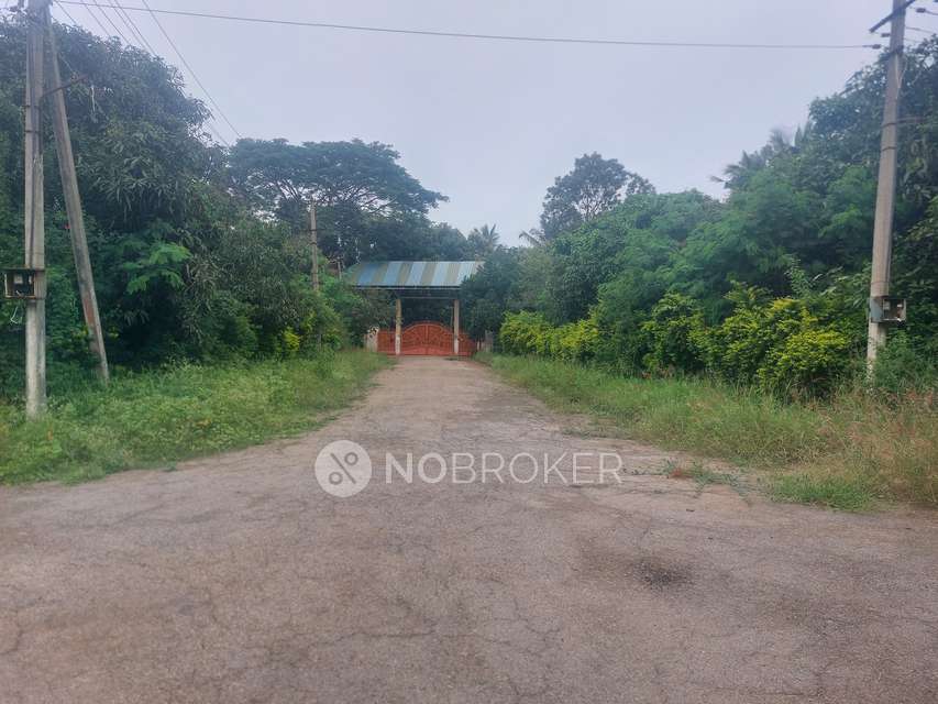 Plot For Sale  In Anekal