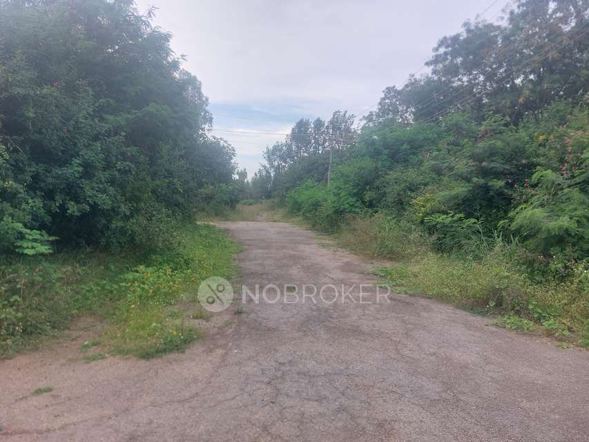 Plot For Sale  In Anekal