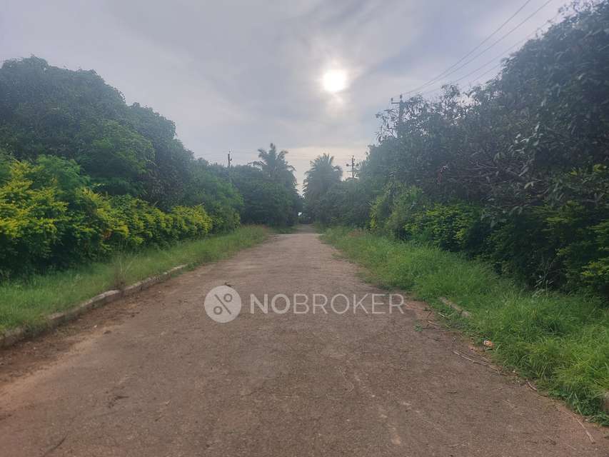 Plot For Sale  In Anekal