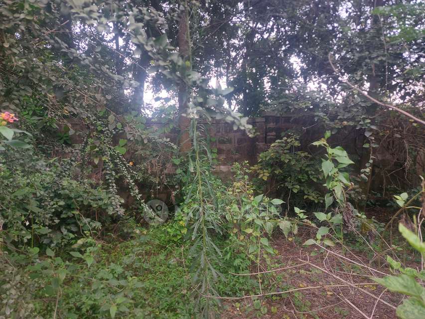 Plot For Sale  In Anekal