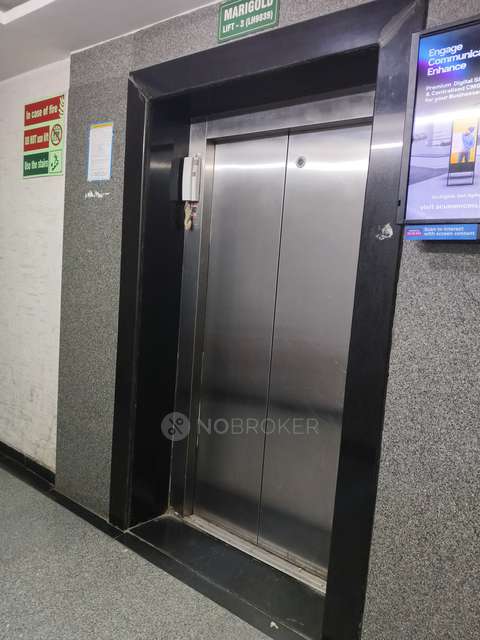 2 BHK Flat In Rdb Coconut Grove For Sale  In Miyapur