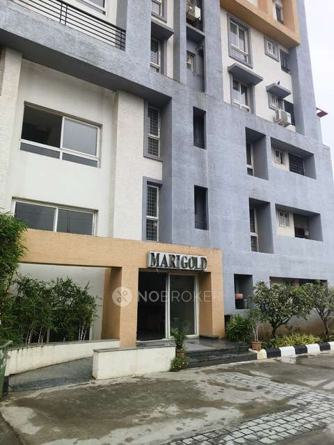 2 BHK Flat In Rdb Coconut Grove For Sale  In Miyapur