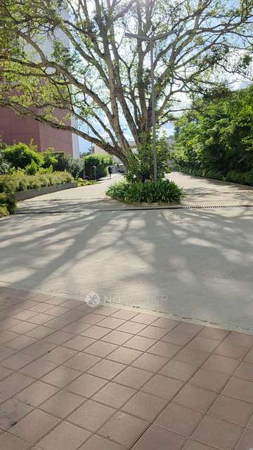 2 BHK Flat In Wonder Wall By Bricks And Milestones, Sarjapur For Sale  In Sarjapur