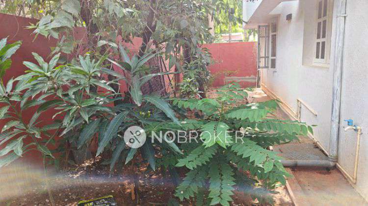 3 BHK House For Sale  In Akshayanagar