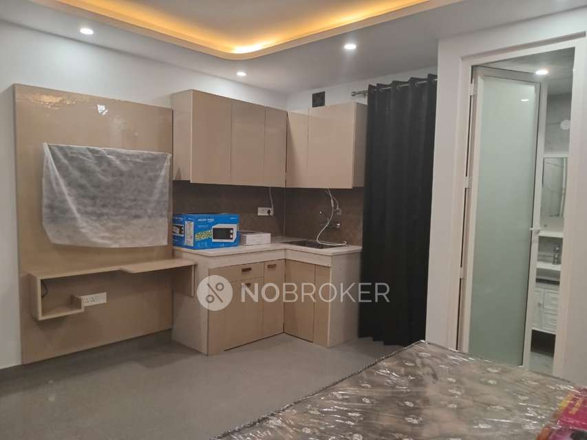 1 RK Flat for Rent  In Sector 46