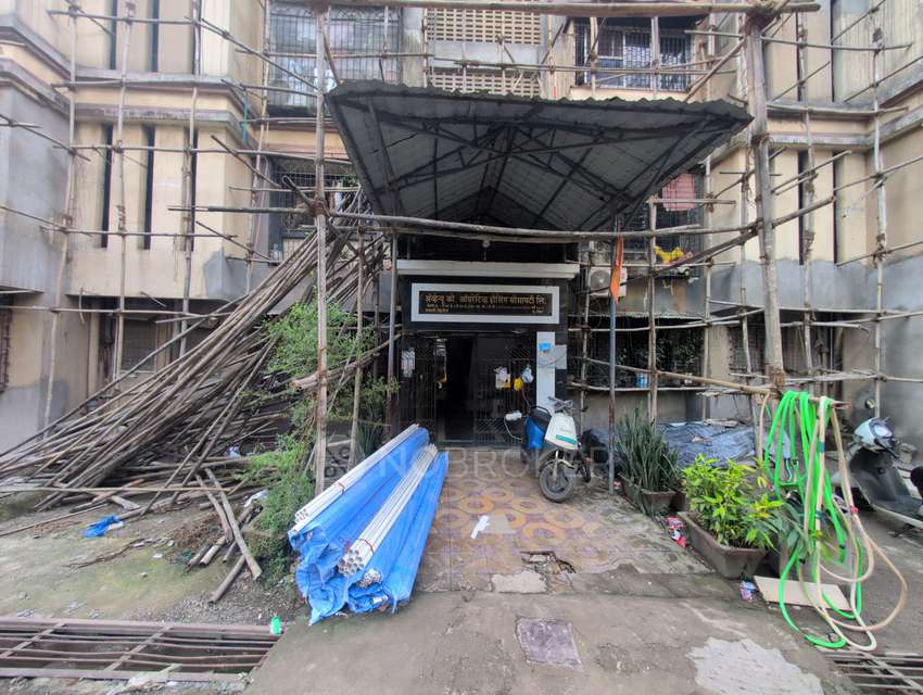 2 BHK Flat In Manali Complex For Sale  In  Manali Village Chs, St Xavier&#39;s School Rd