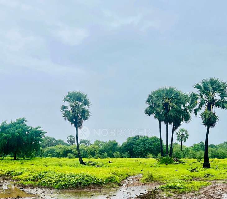 Plot For Sale  In Virar