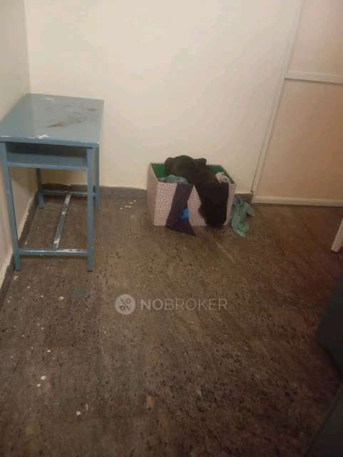 PG for Anyone in Chikkabanavara