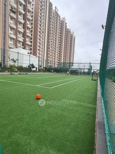 2 BHK Flat In Vtp Cygnus T-11 for Rent  In Kharadi