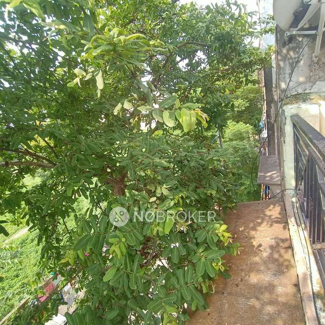 2 BHK Flat For Sale  In Rohini