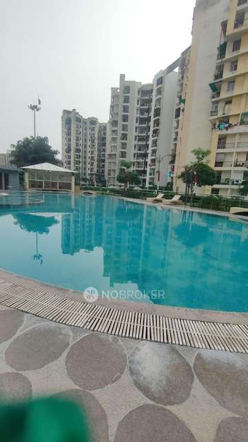 3 BHK Flat In Kdp Grand Savanna For Sale  In Raj Nagar Extension