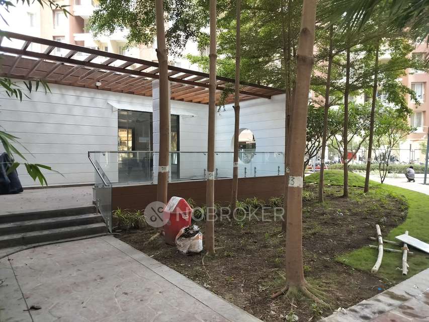 3 BHK Flat In Arv New Town for Rent  In Pisoli Rd