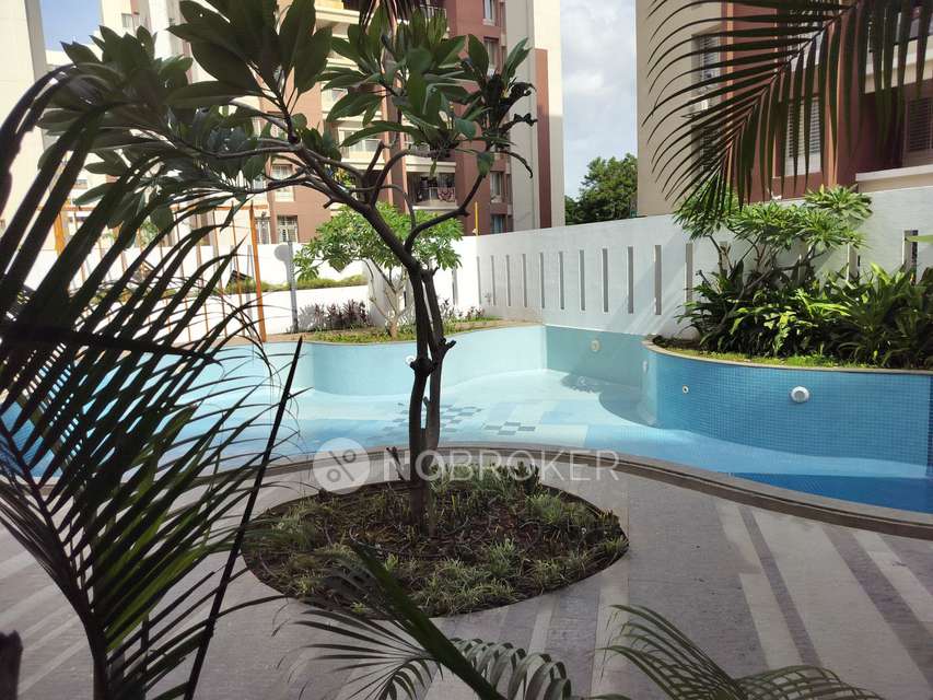 3 BHK Flat In Arv New Town for Rent  In Pisoli Rd