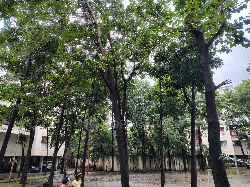 1 BHK Flat In Shrinivas Greenland County For Sale  In Narhe