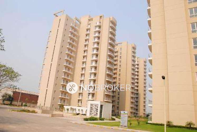 3 BHK Flat In The Ozone Park Apartments For Sale  In Sector 86
