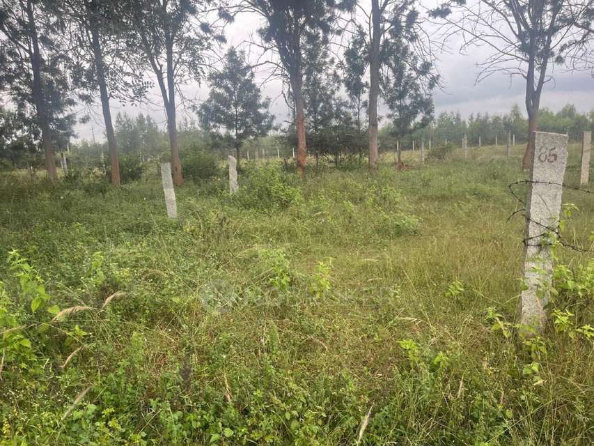 Plot For Sale  In Devanahalli