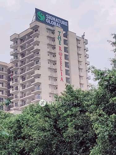 2 BHK Flat In Signature Global Roselia, Sector 95a For Sale  In Sector 95a
