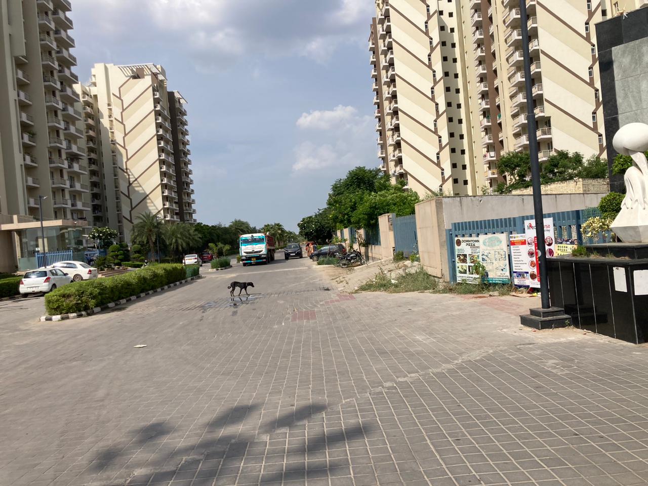 Signature Global Solera