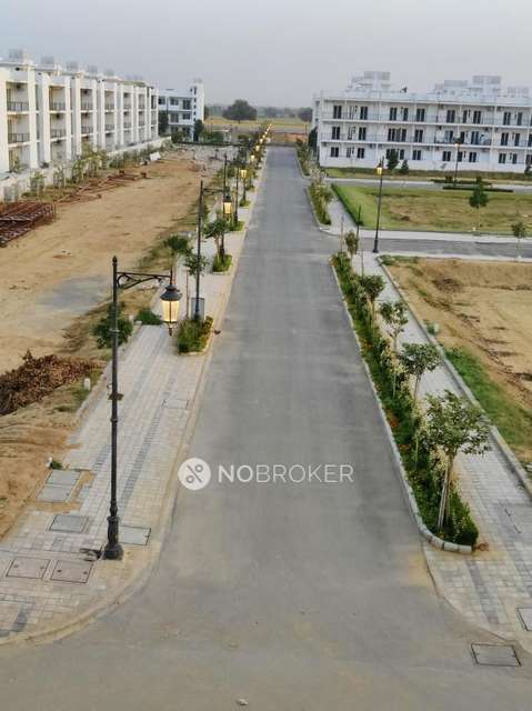 2 BHK Flat In Central Park Flower Valley Flamingo Floors, Sohna for Rent  In Sohna