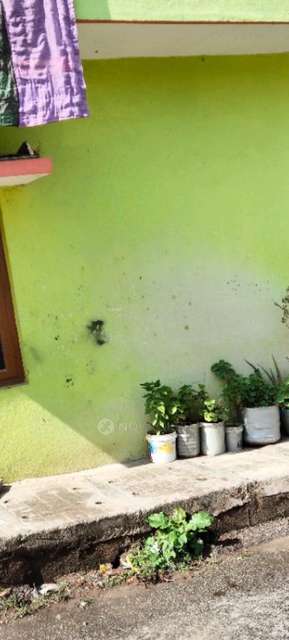 1 BHK Flat In Standalone Building  for Rent  In T. Dasarahalli