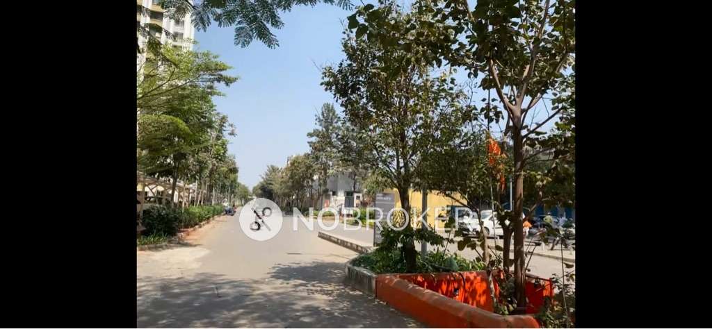 1 BHK Flat In Kalpataru Serenity for Rent  In Manjri Bk