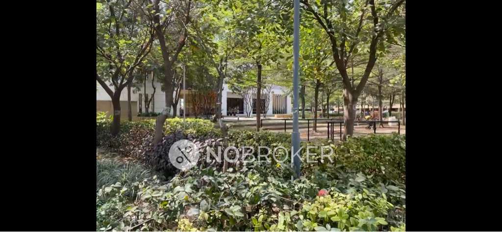 1 BHK Flat In Kalpataru Serenity for Rent  In Manjri Bk