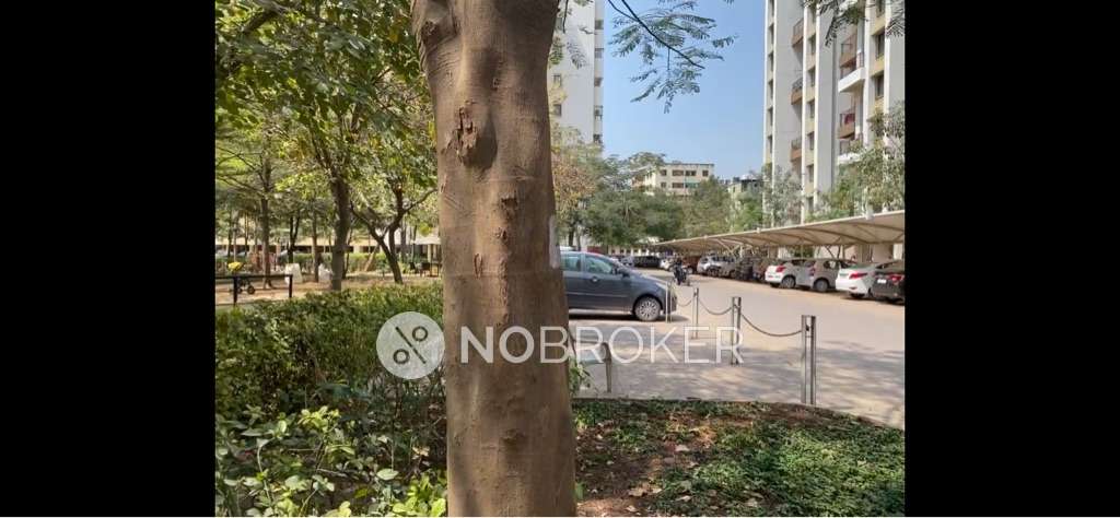 1 BHK Flat In Kalpataru Serenity for Rent  In Manjri Bk