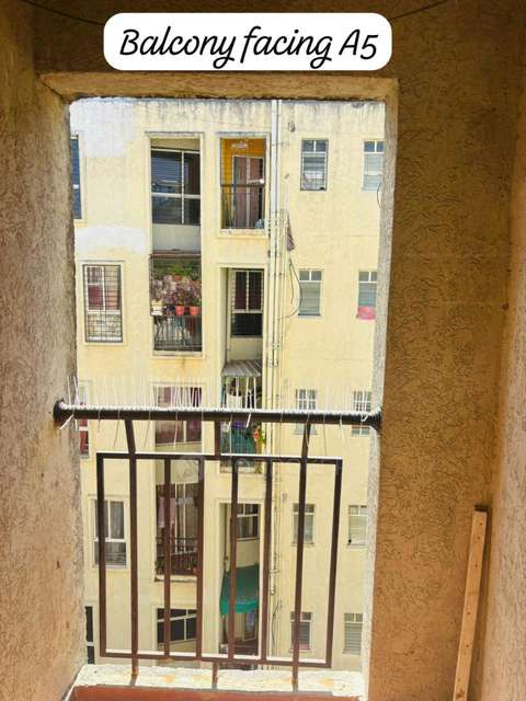 2 BHK Flat In Xrbia  for Rent  In Hinjewadi