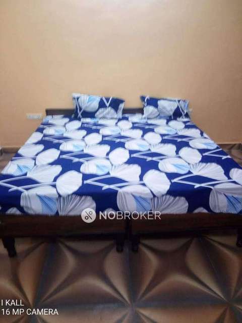 PG for Girls in Sector-63a