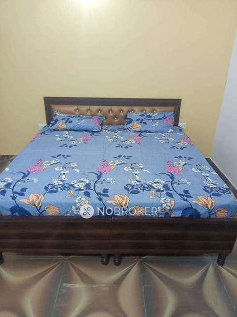 PG for Girls in Sector-63a