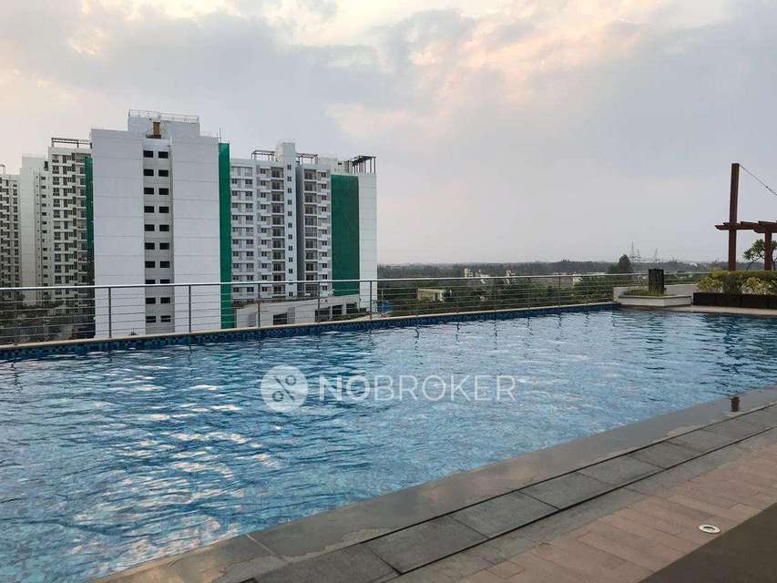 2 BHK Flat In Tata Value Homes New Haven For Sale  In Kanva Garden City