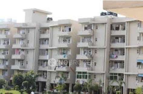 1 RK Flat In Riza Complex for Rent  In Sector 31