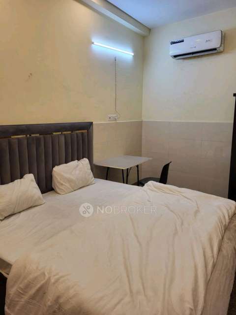 PG for Anyone in Haiderpur