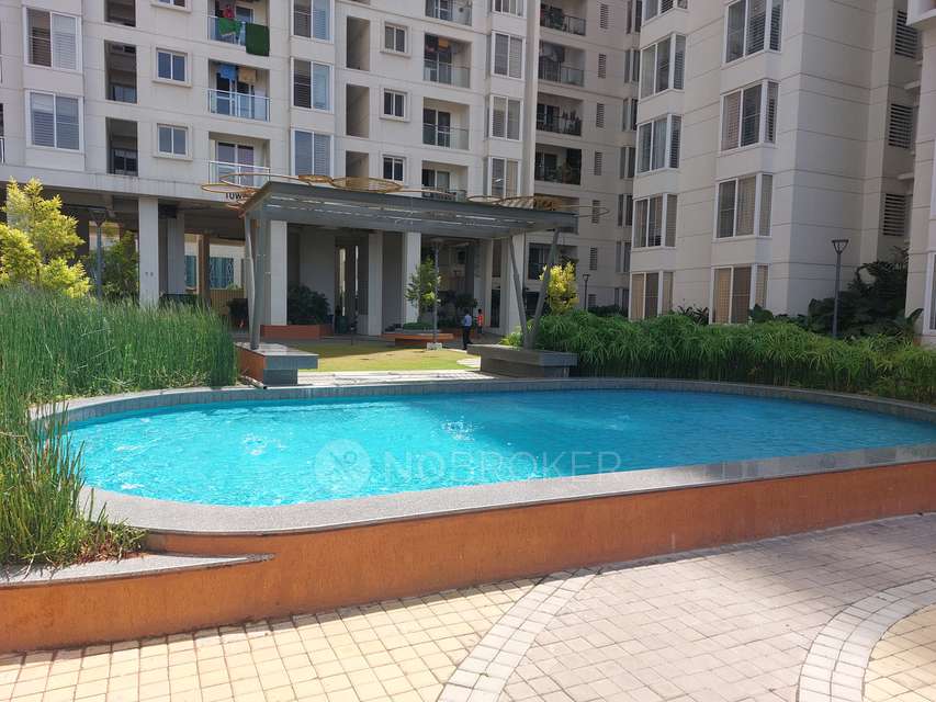 3 BHK Flat In Mana Capitol For Sale  In Carmelaram
