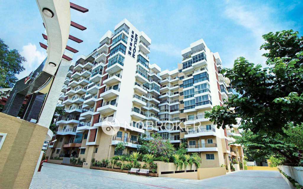 Single Room for Female In 1 RK  In Esteem Enclave In Bannerghatta Road
