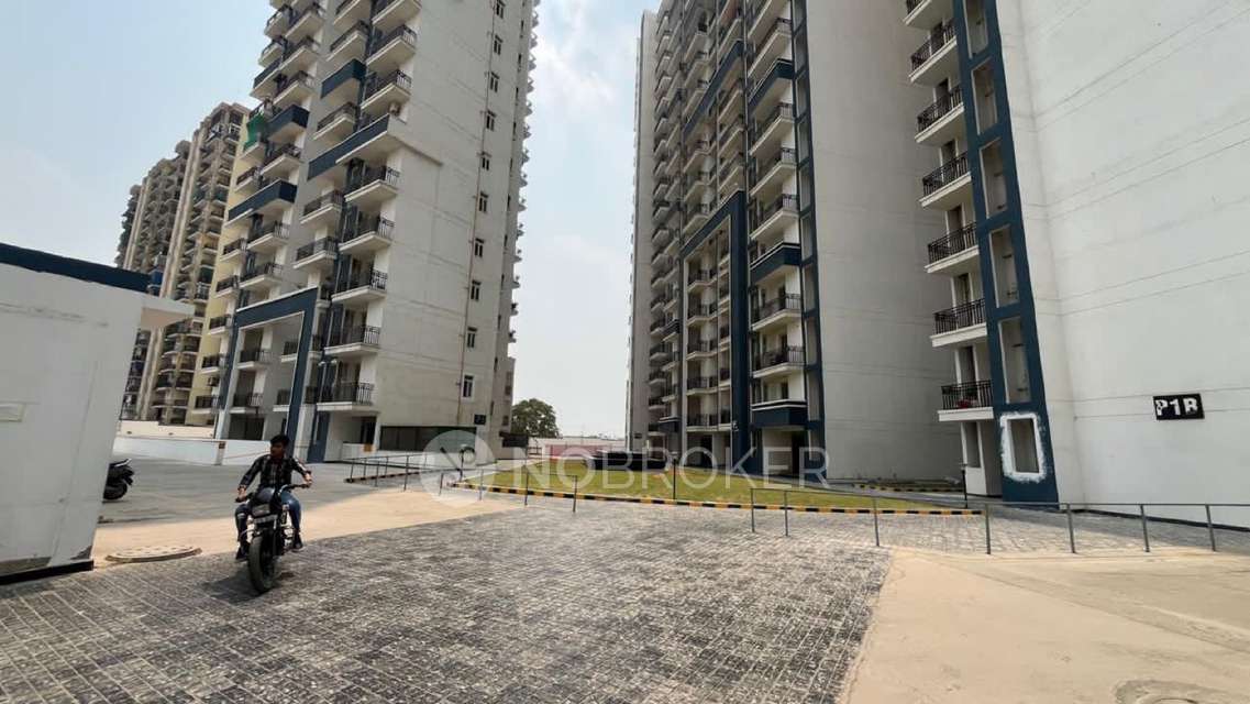 3 BHK Flat In Slf Anushree Apartments For Sale  In Sector 75