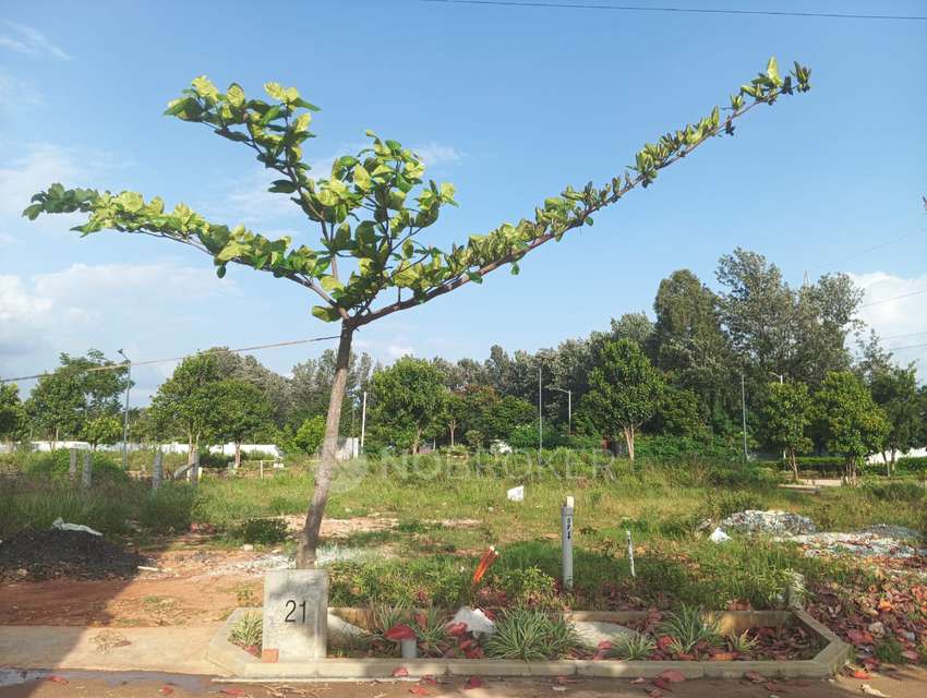 Plot For Sale  In Assetz Atmos And Aura In Shettigere