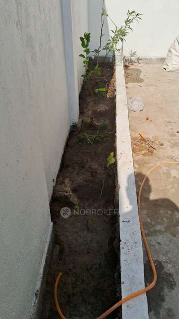 PG for Girls in  Maruti Vihar